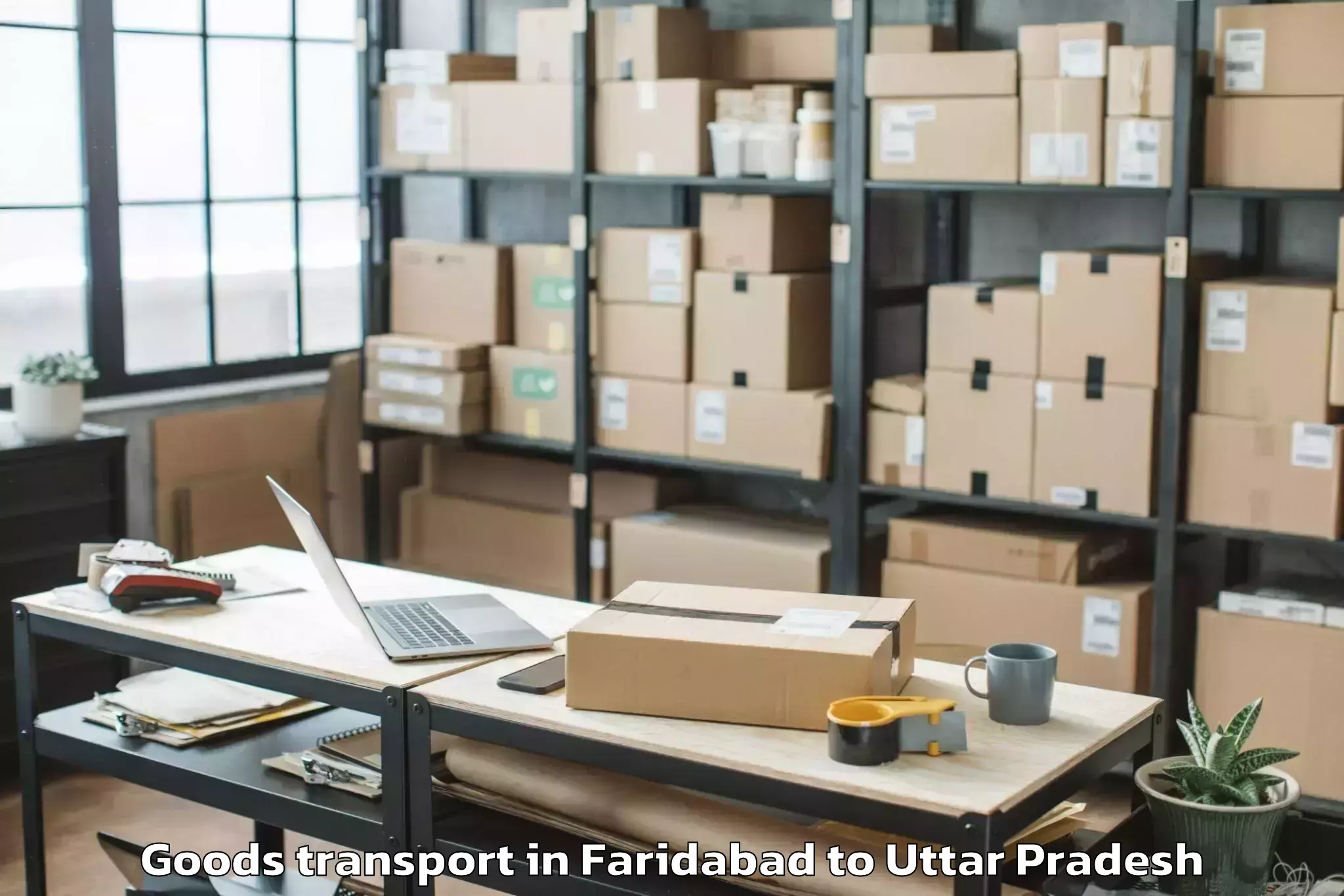 Hassle-Free Faridabad to Bareli Airport Bek Goods Transport